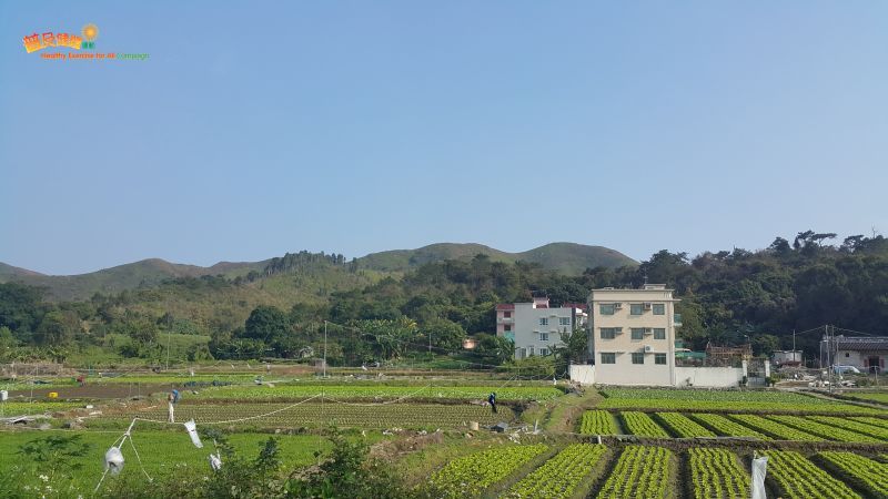 Farmland in Lok Ma Chau Village