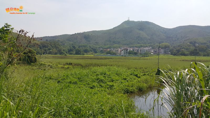 A distant view of Liu Pok Tsuen and Tai Shek Mo
