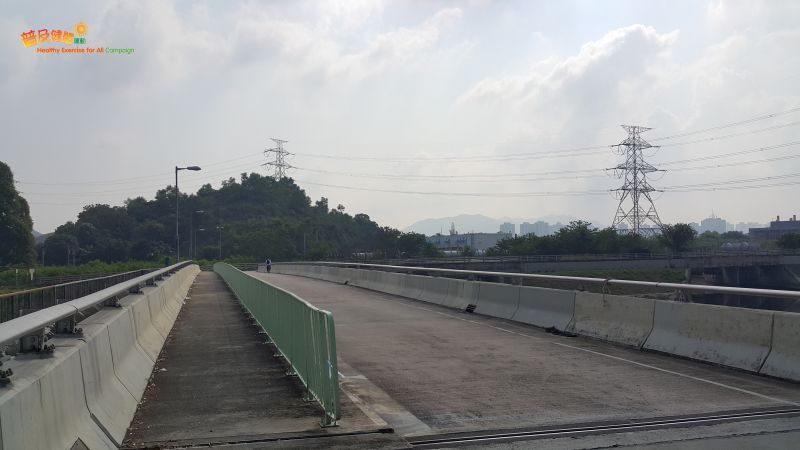 Ng Tung River Bridge