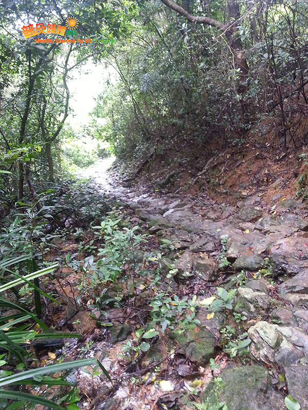 A rugged downhill path