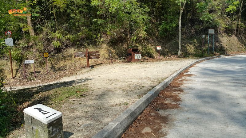 Tai Lam Forest Track – Tai Tong Section