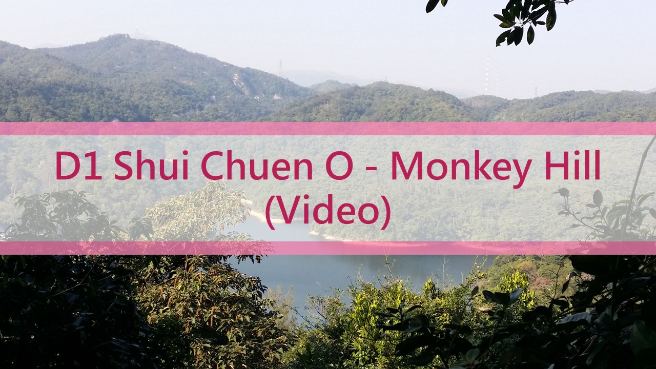 D1 - Shui Chuen O - Monkey Hill