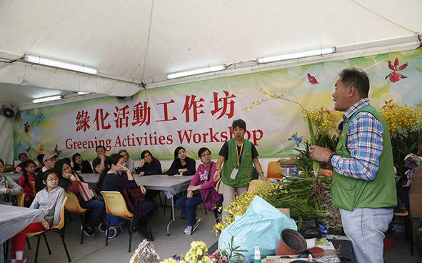 Greening Activities Workshop