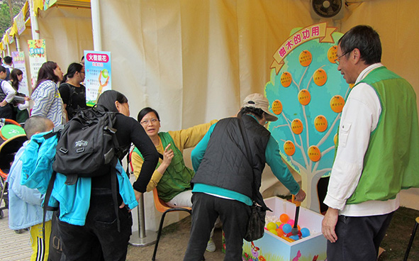 Green Promotional Games Stalls