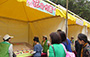 Green Promotional Games Stalls