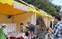 Green Promotional Games Stalls