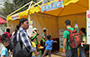 Green Promotional Games Stalls