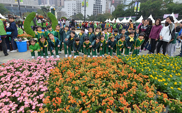 Jockey Club Mosaiculture Display by Students