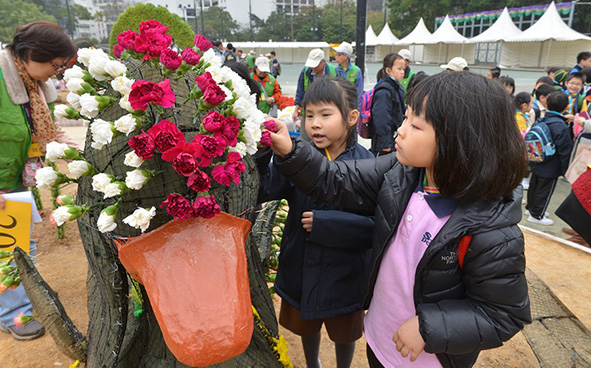 Jockey Club Mosaiculture Display by Students