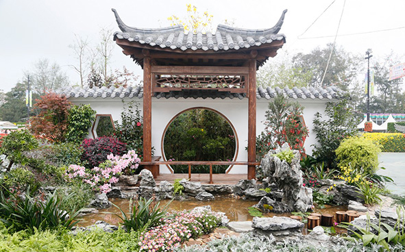 Kwai Tsing District - Blossoms Dancing by a Waterside Pavilion