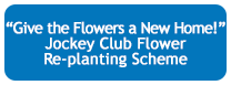 Give the Flowers a New Home! Jockey Club Flower Re-planting Scheme