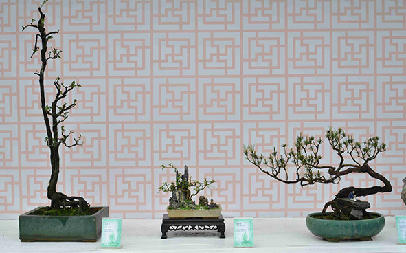 Penjing and Artstone of Asia