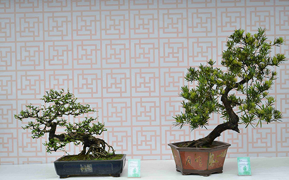 Hong Kong Penjing & Artstone Society Co. Ltd.