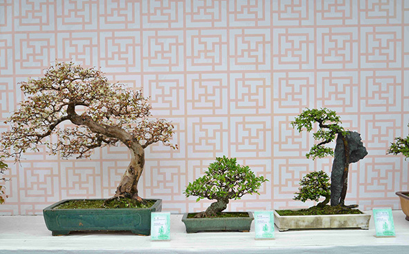 Hong Kong Baptist University