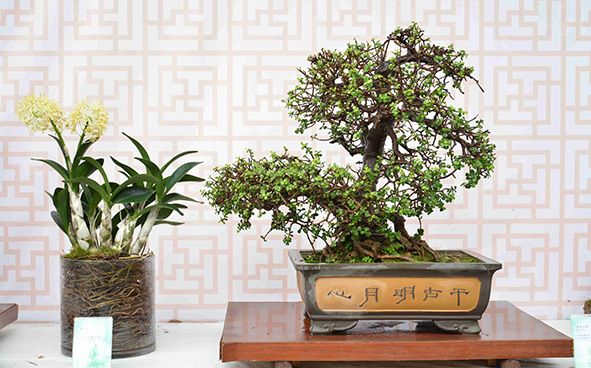 Western Monastery & The Hong Kong Buddhi Siksa Society Ltd