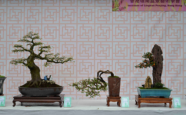 Institute of Lingnan Penjing, Hong Kong