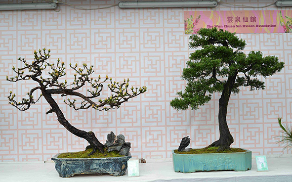 The Wun Chuen Sin Kwoon Association