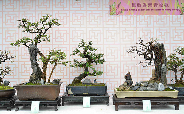 Ching Chung Taoist Association of Hong Kong Ltd.