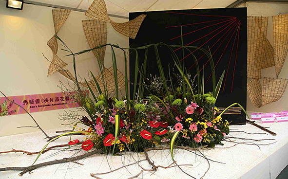 Sau's Institute Association