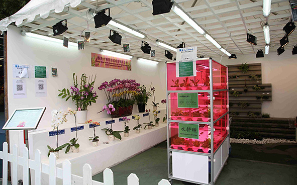 Hong Kong Tai Po Association of Young Merchants and Professional Limited