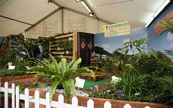 The Chinese University of Hong Kong (Institute of Chinese Medicine, School of Chinese Medicine, Hong