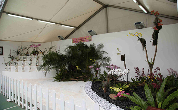 Hong Kong Oriental Orchid Association