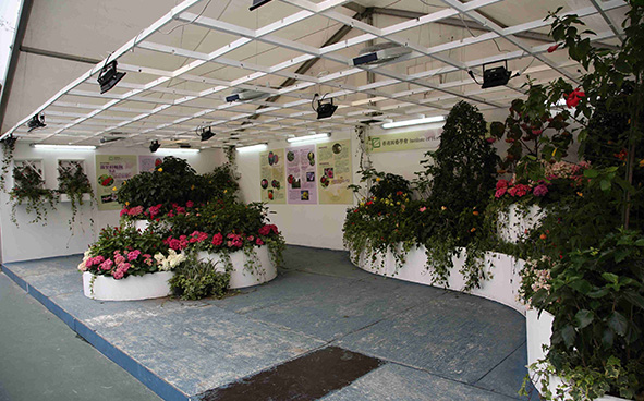 Institute of Horticulture (Hong Kong)