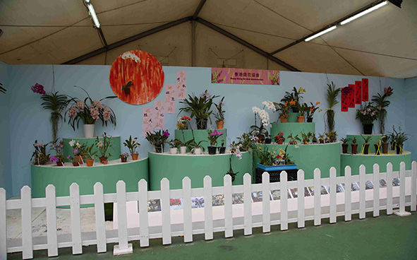 Hong Kong Orchid Association