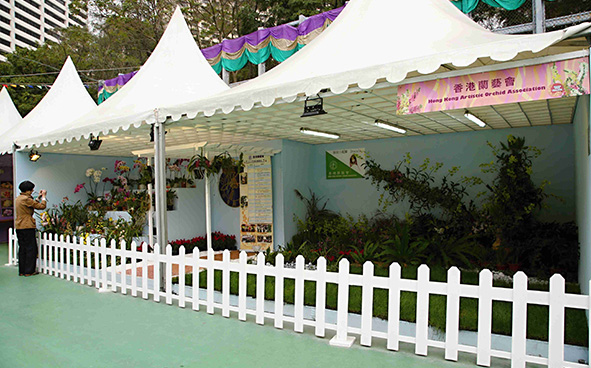 Hong Kong Artistic Orchid Association