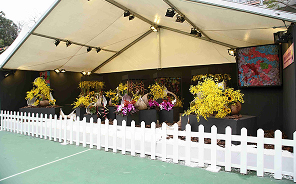 Wah Thai Luen (Hong Kong) Trading Co. Ltd.