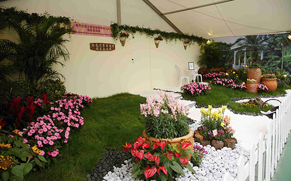 North District Arts Advancement Association Ltd