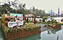 Ocean Park Hong Kong  Landscape Display
