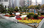 Shenzhen Urban Management Bureau- Two Close and Beautiful Cities