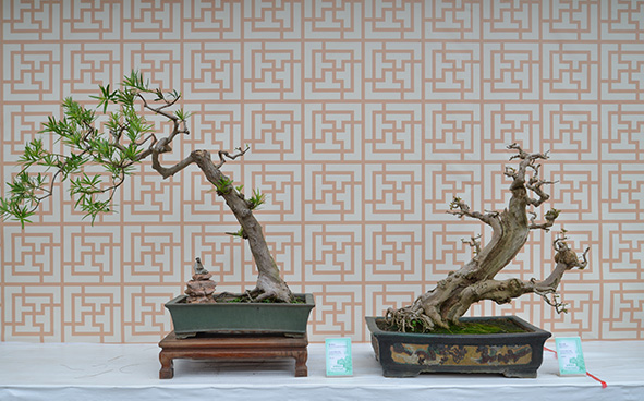 Penjing and Artstone of Asia