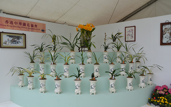 香港中華蘭花協會