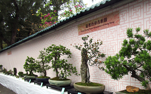 Ching Chung Taoist Association of Hong Kong
