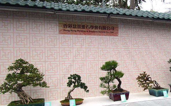 Hong Kong Penjing & Artstone Society Co., Ltd.