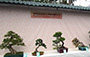 Hong Kong Penjing & Artstone Society Co., Ltd.