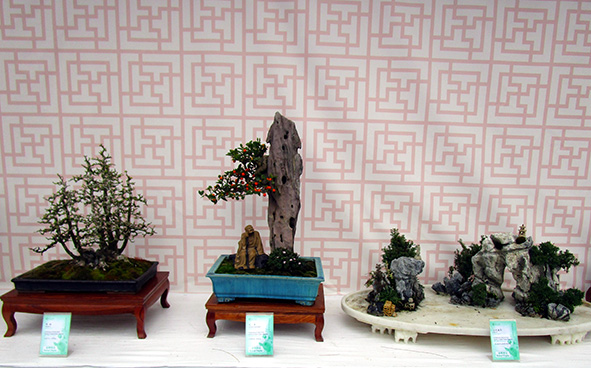 Institute of Lingnan Penjing, Hong Kong