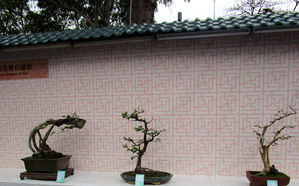 Penjing and Artstone of Asia