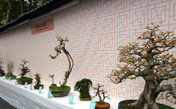 Penjing Association of Hong Kong