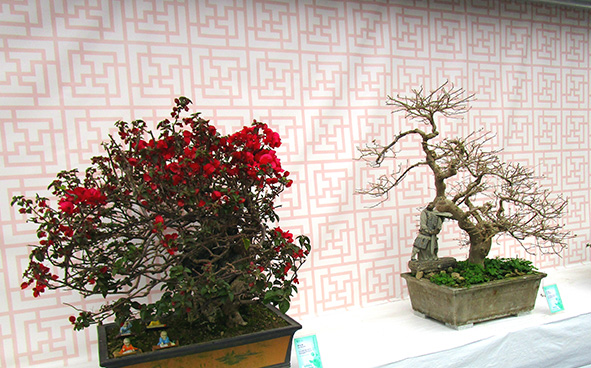 The Hong Kong Bodhi Siksa Society - Western Monastery