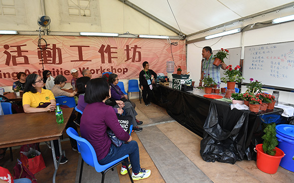 Greening Activities Workshop