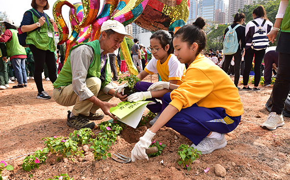 Jockey Club Mosaiculture Display by Students