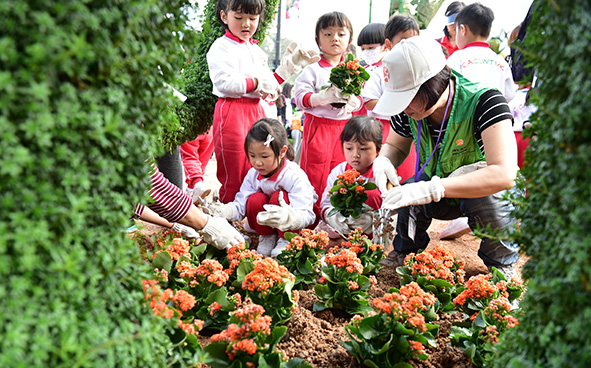 Jockey Club Mosaiculture Display by Students