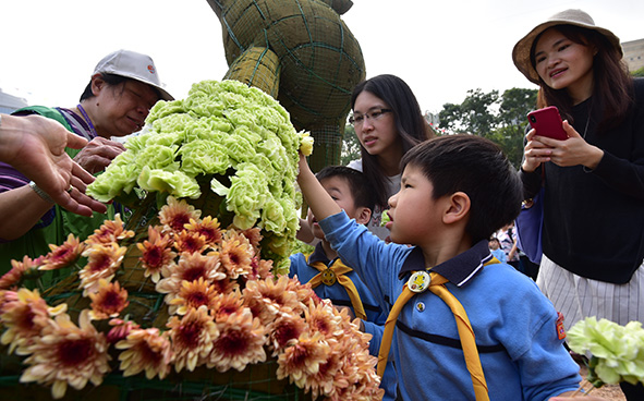 Jockey Club Mosaiculture Display by Students