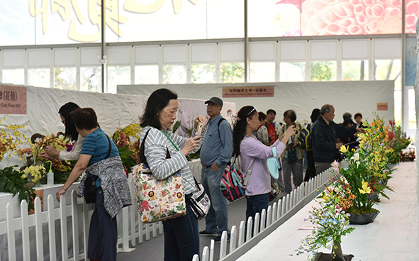 Plant Exhibition