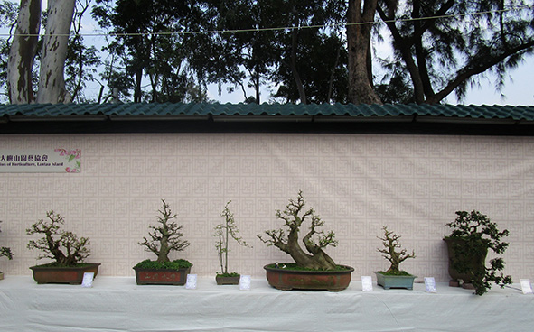 Association of Horticulture, Lantau Island