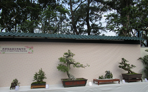 Institute of Lingnan Penjing, Hong Kong