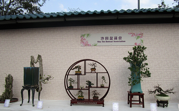 Sha Tin Bonsai Association
